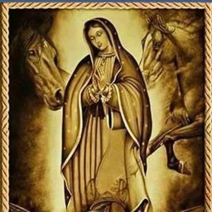 Meet your Posher, Mony